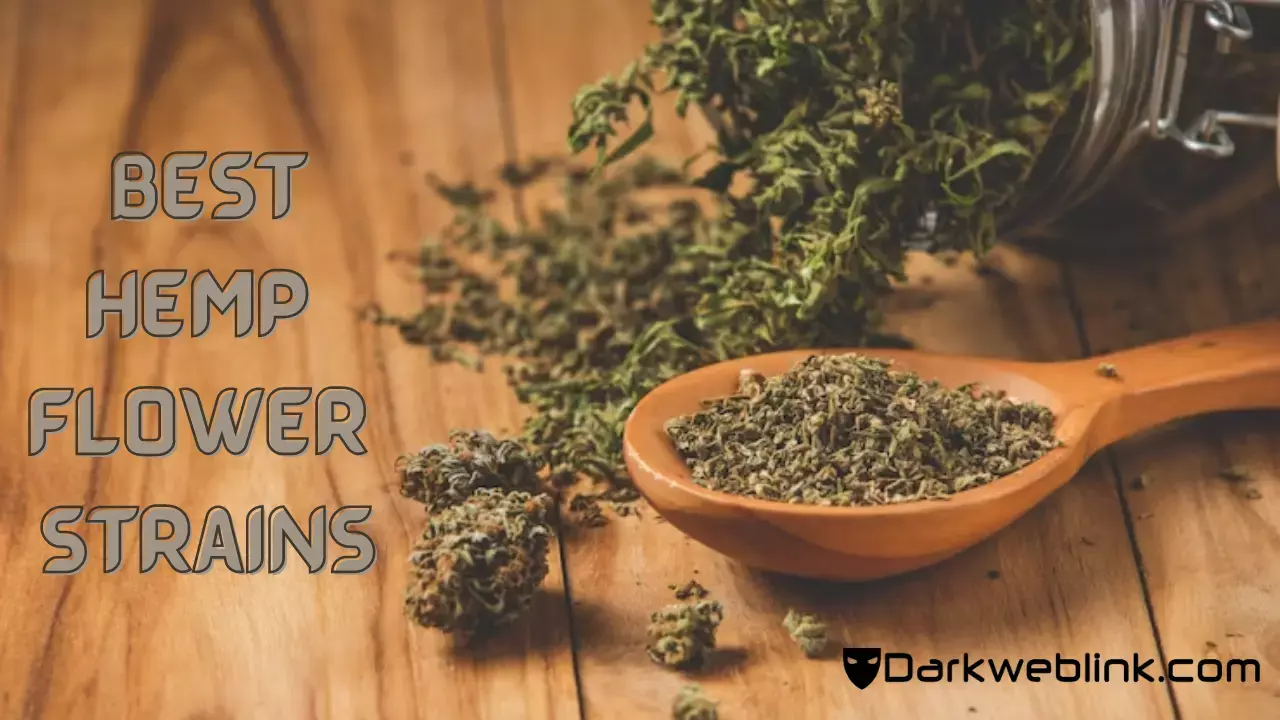 Discover the Top 10 Best Hemp Flower Strains for an Elevated Experience