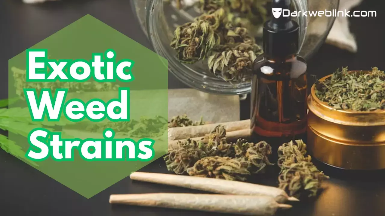 6 Best Exotic Weed Strains Fall in Love with Premium Cannabis