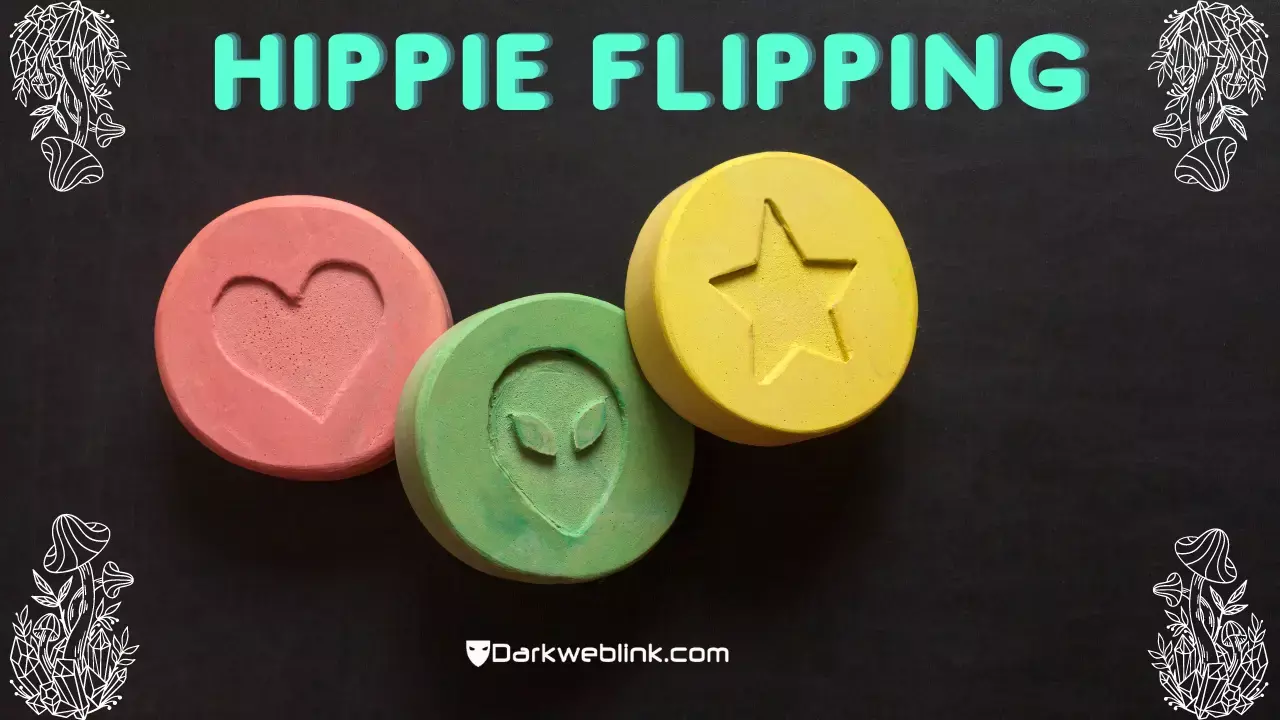 Hippie Flip Safely and Enjoyably Explore the Psychedelic Fusion