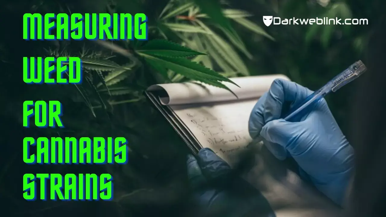 Weed Measurements Find the Perfect Quantity for Your Cannabis Strains